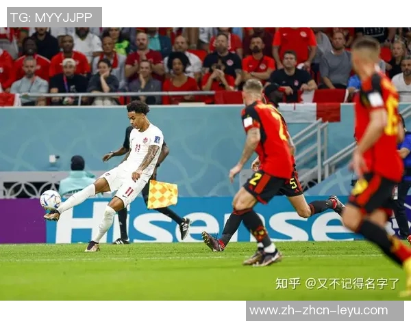 俄罗斯与比利时的对决分析及比赛前瞻展望